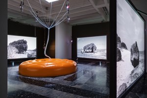 Exhibition view: Motoyuki Shitamichi, Taro Yasuno, Toshiaki Ishikura, Fuminori Nousaku, 'Cosmo-Eggs', Japan Pavilion, Giardini, The 58th International Art Exhibition – la Biennale di Venezia 'May You Live in Interesting Times' (11 May–24 November 2019).